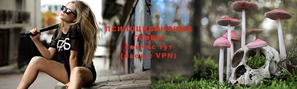 бошки Пересвет