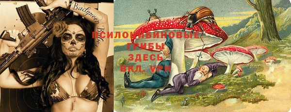 ПСИЛОЦИБИНОВЫЕ ГРИБЫ Переславль-Залесский