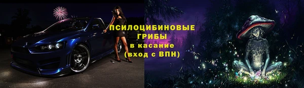 бошки Пересвет