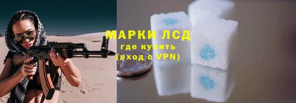 бошки Пересвет
