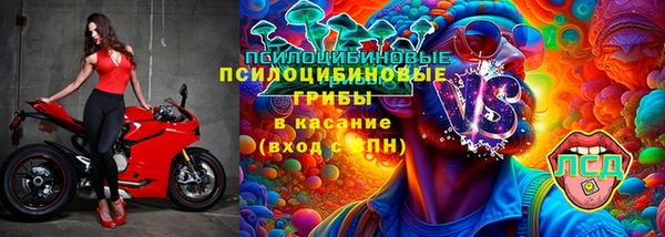 бошки Пересвет