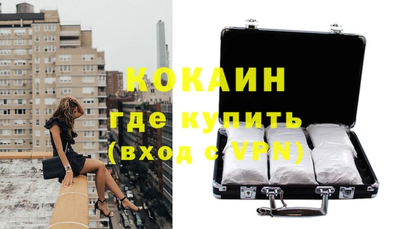 бошки Пересвет